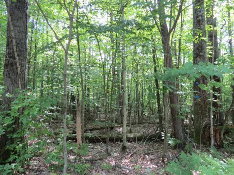 Lot 119 Tannenbaum Lane Jay NY 12941