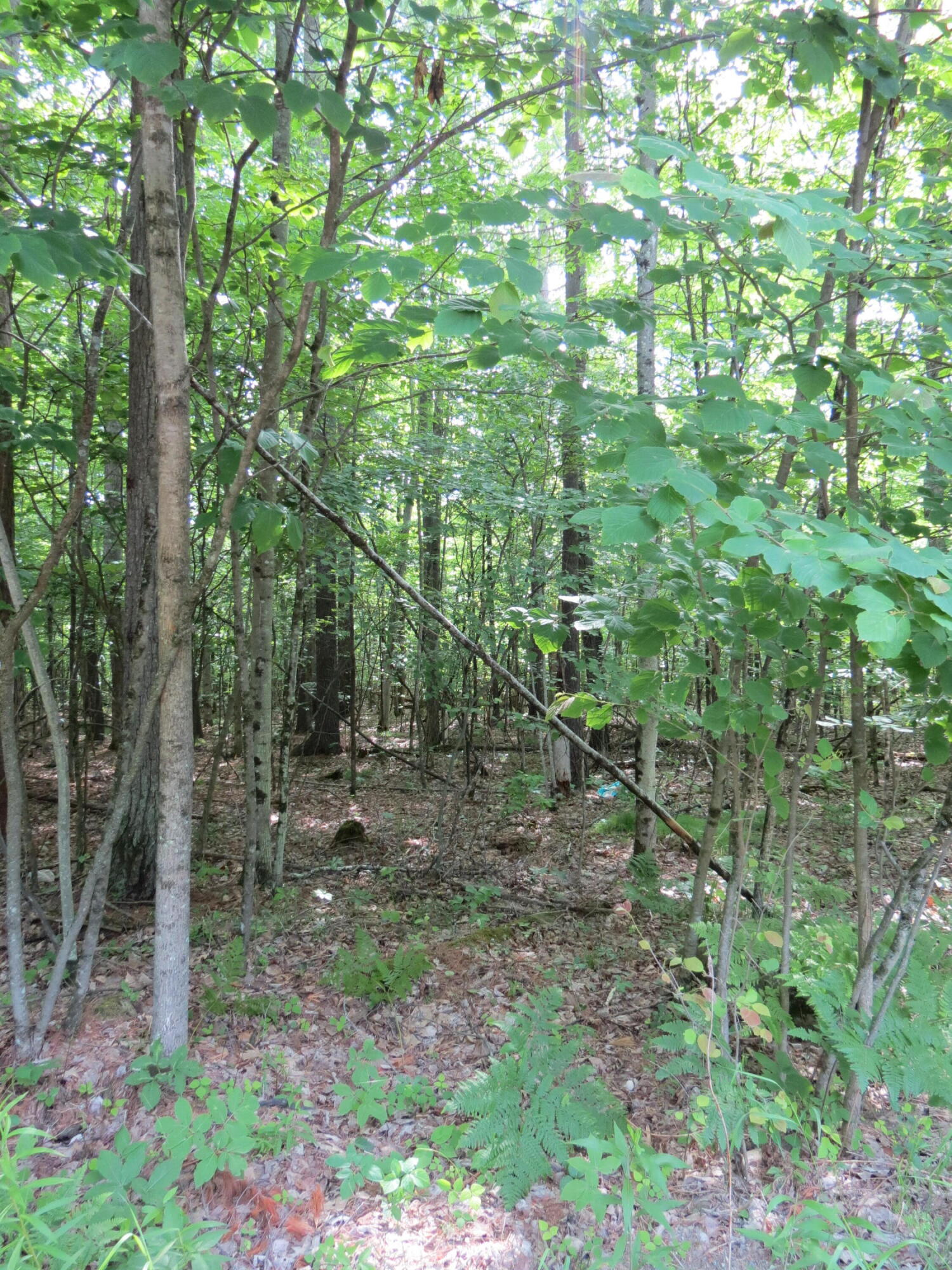 Lot 119 Tannenbaum Lane Jay NY 12941