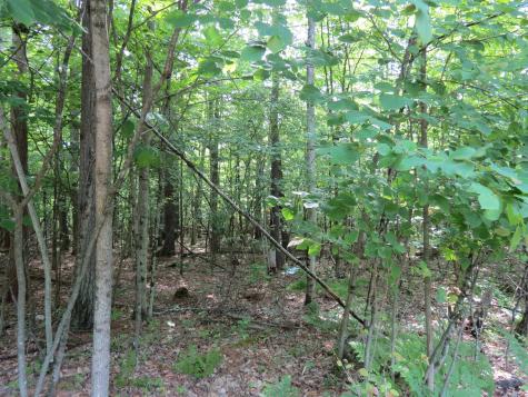 Lot 119 Tannenbaum Lane Jay NY 12941