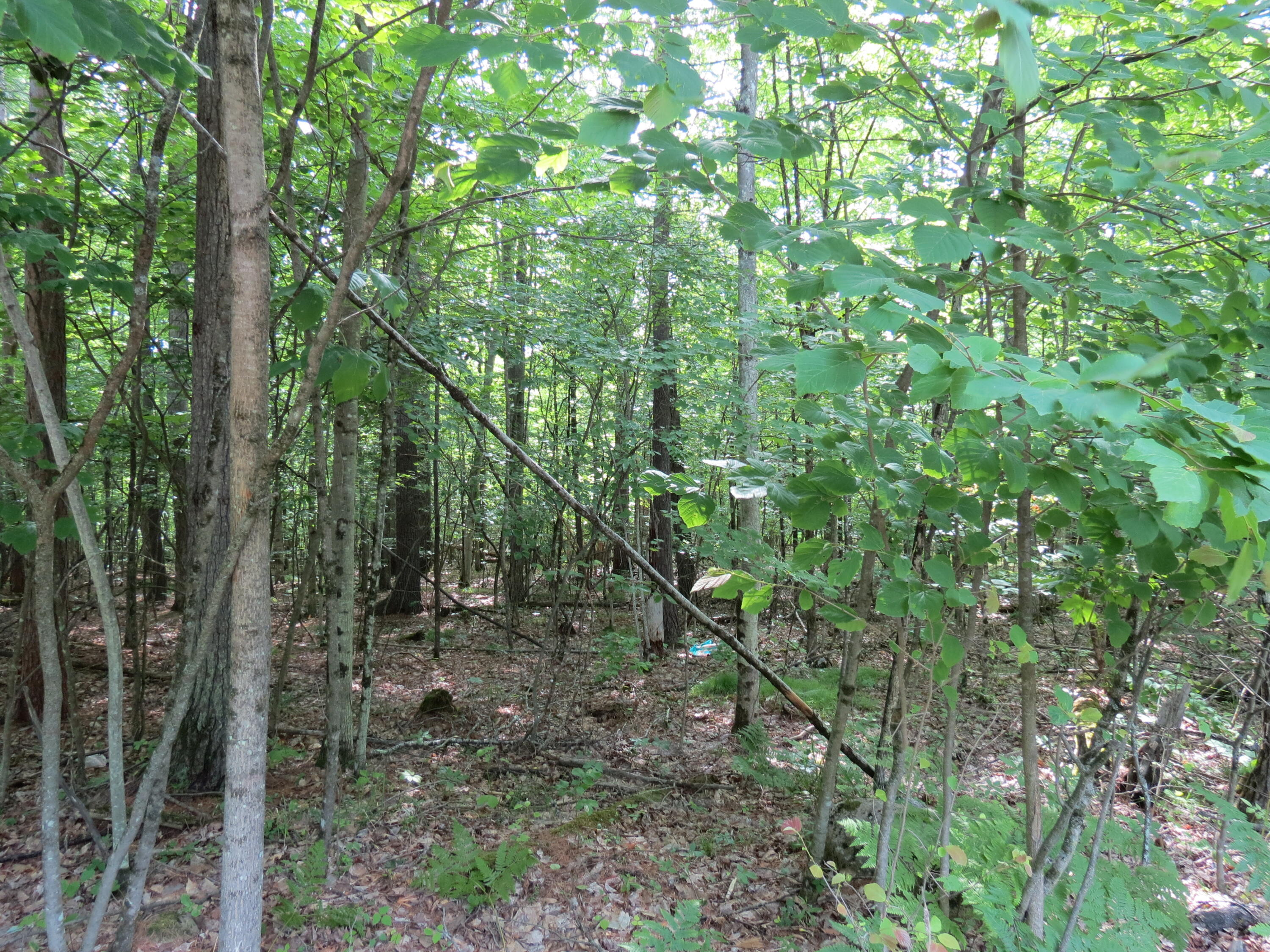 Lot 119 Tannenbaum Lane Jay NY 12941