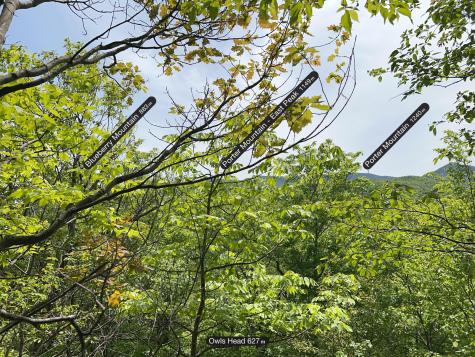 0 Owls Head Lane Keene NY 12942