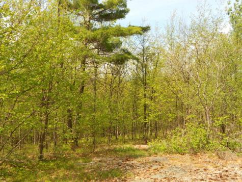 99 Brinton Road Keeseville NY 12944