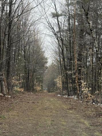 0 Bailey Road St. Regis Falls NY 12980
