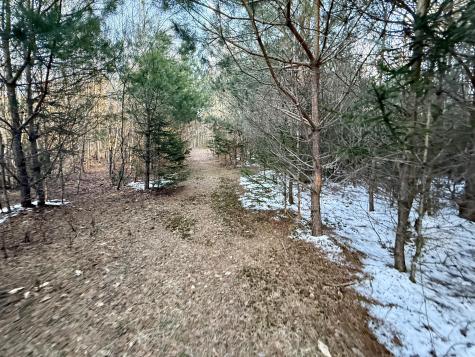 0 Bailey Road St. Regis Falls NY 12980