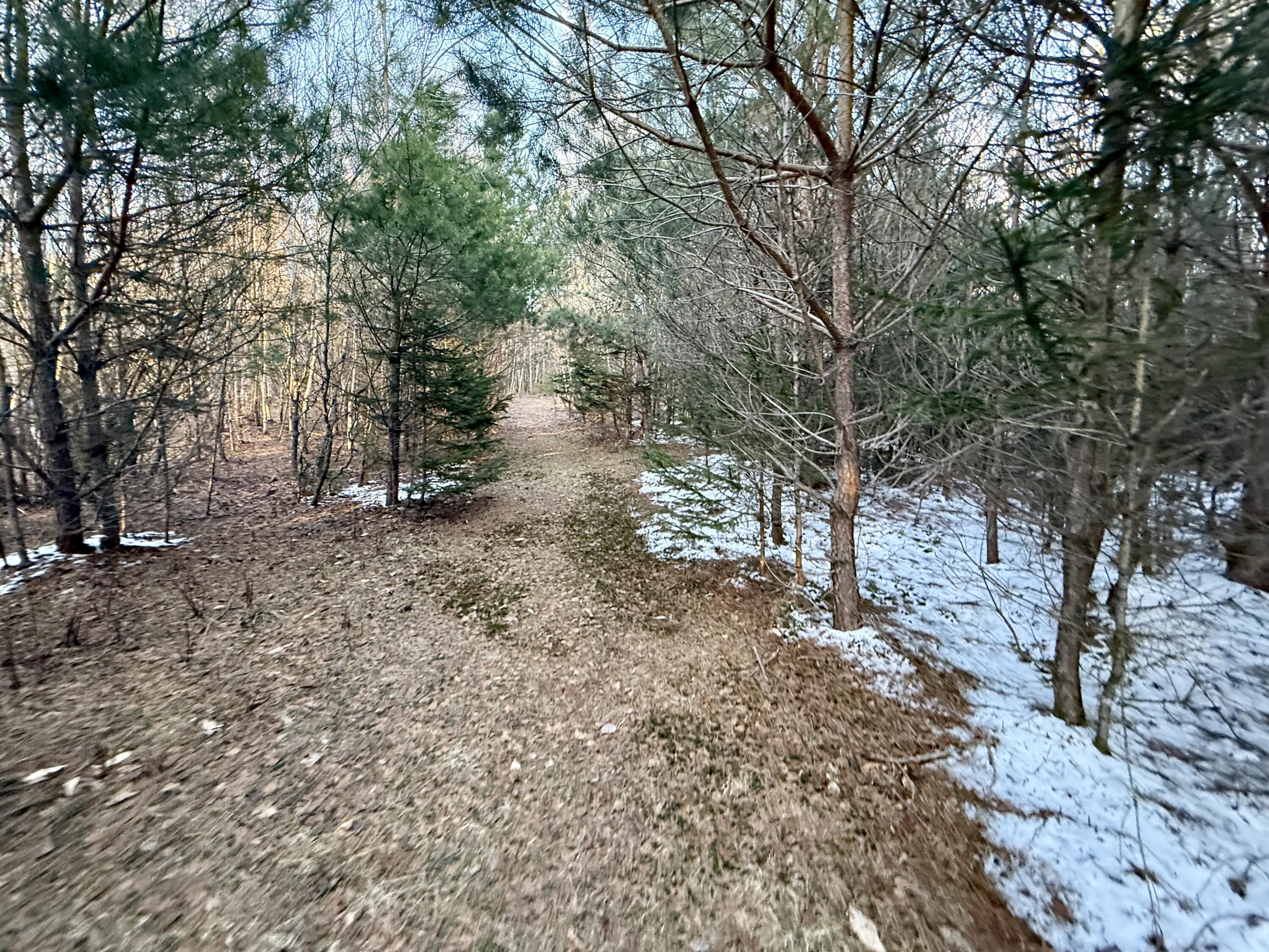 0 Bailey Road St. Regis Falls NY 12980