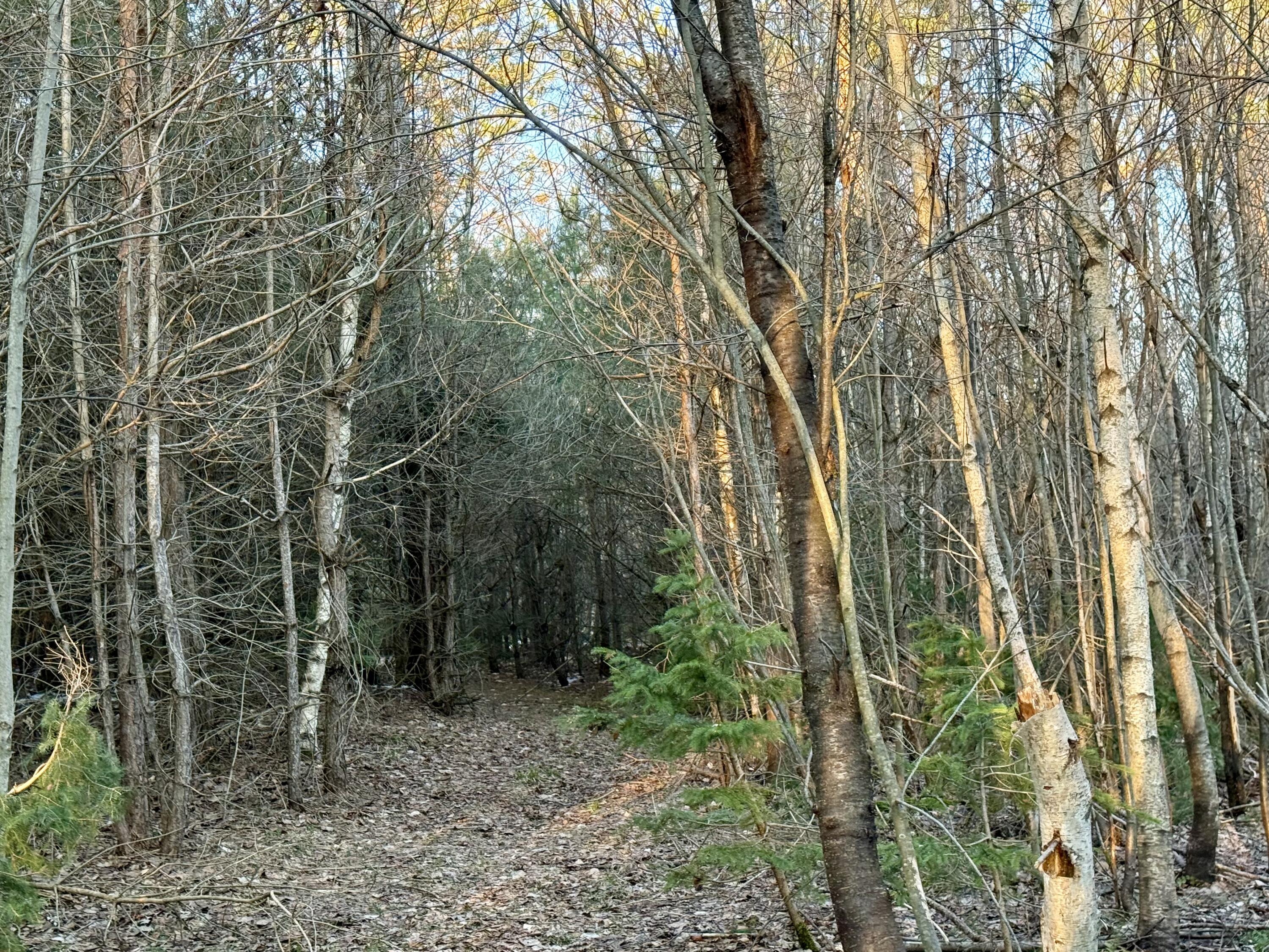 0 Bailey Road St. Regis Falls NY 12980