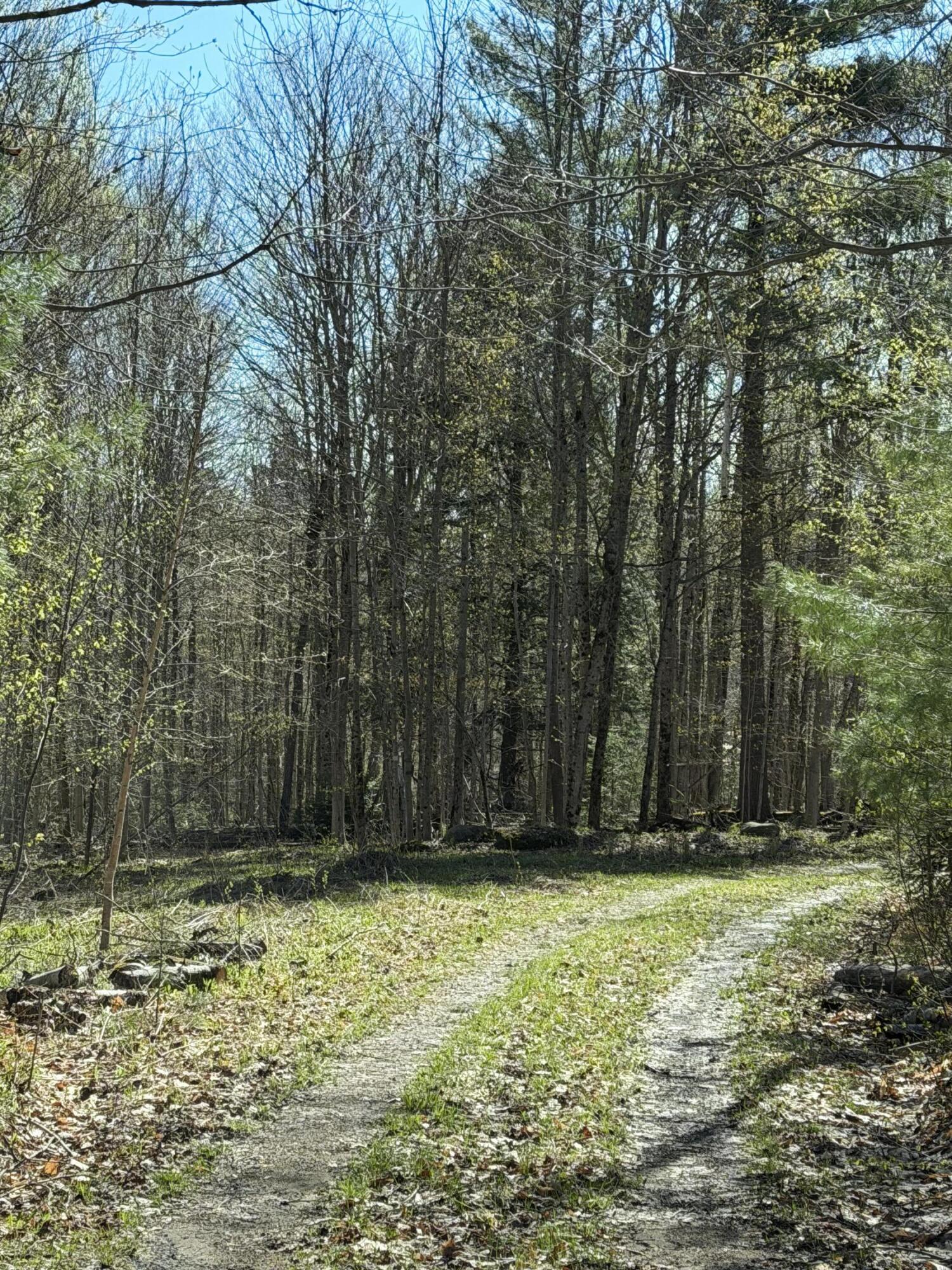 Lot #3 Station Road-gull Pond Road Piercefield NY 12973