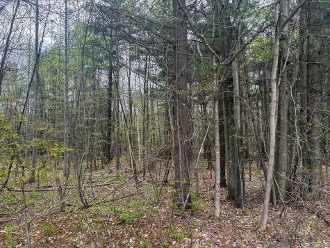 0 Callahan Road Burke NY 12917