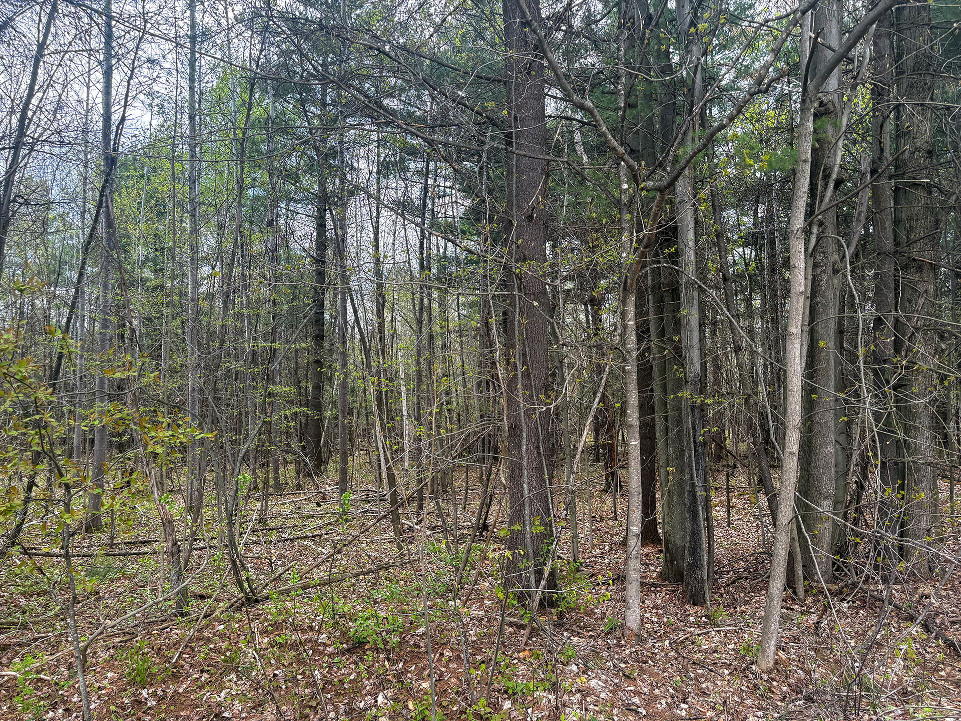 0 Callahan Road Burke NY 12917