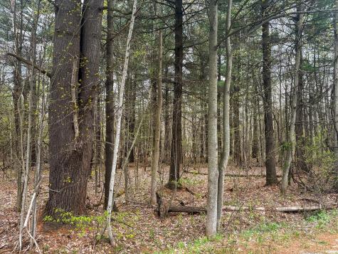 0 Callahan Road Burke NY 12917