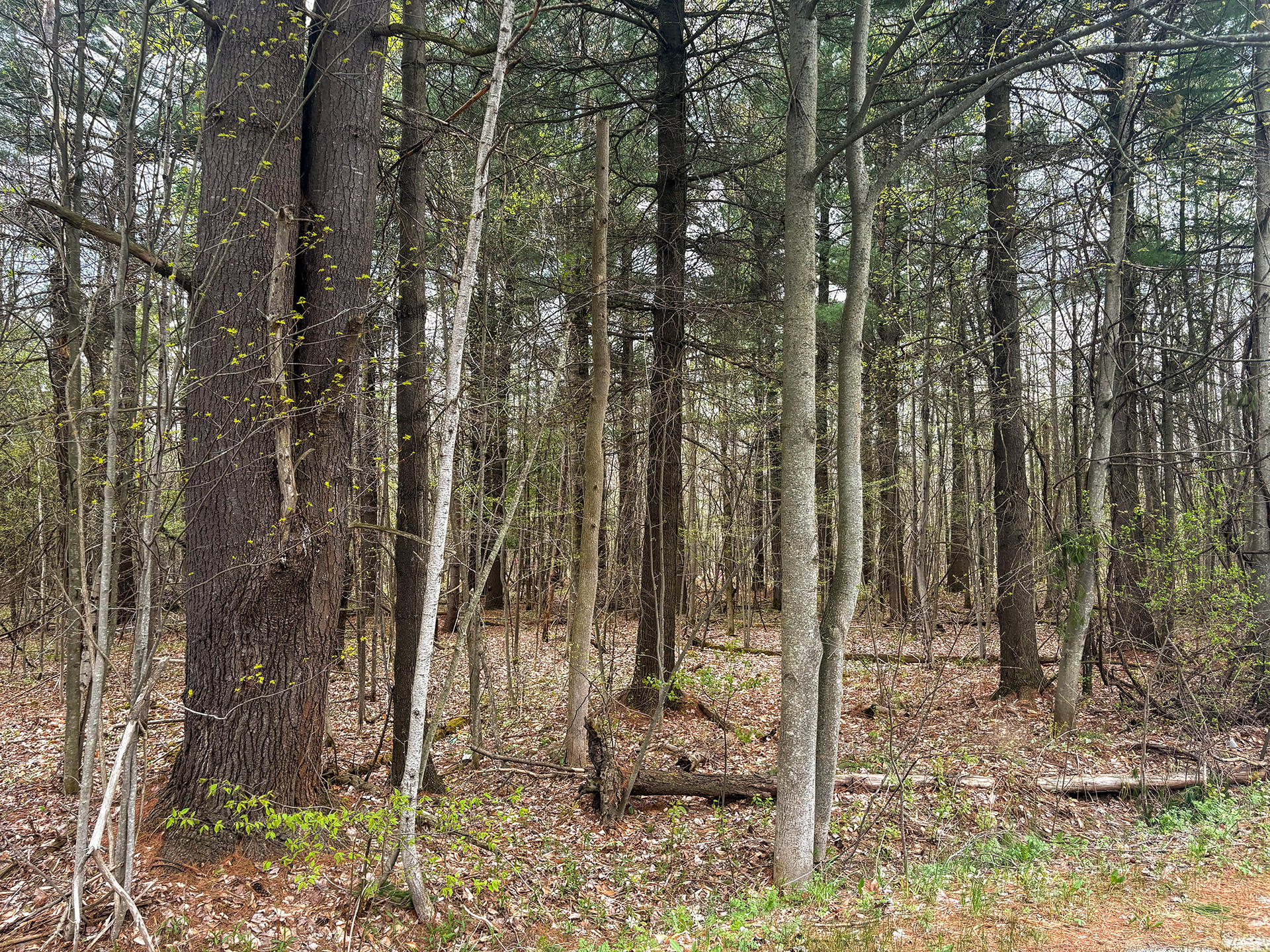 0 Callahan Road Burke NY 12917