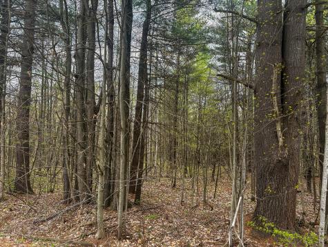 0 Callahan Road Burke NY 12917