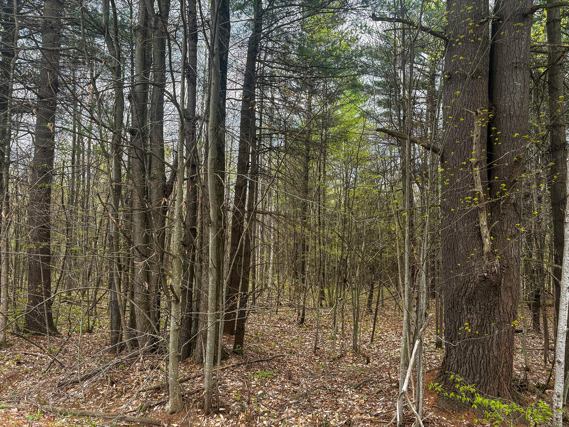 0 Callahan Road Burke NY 12917