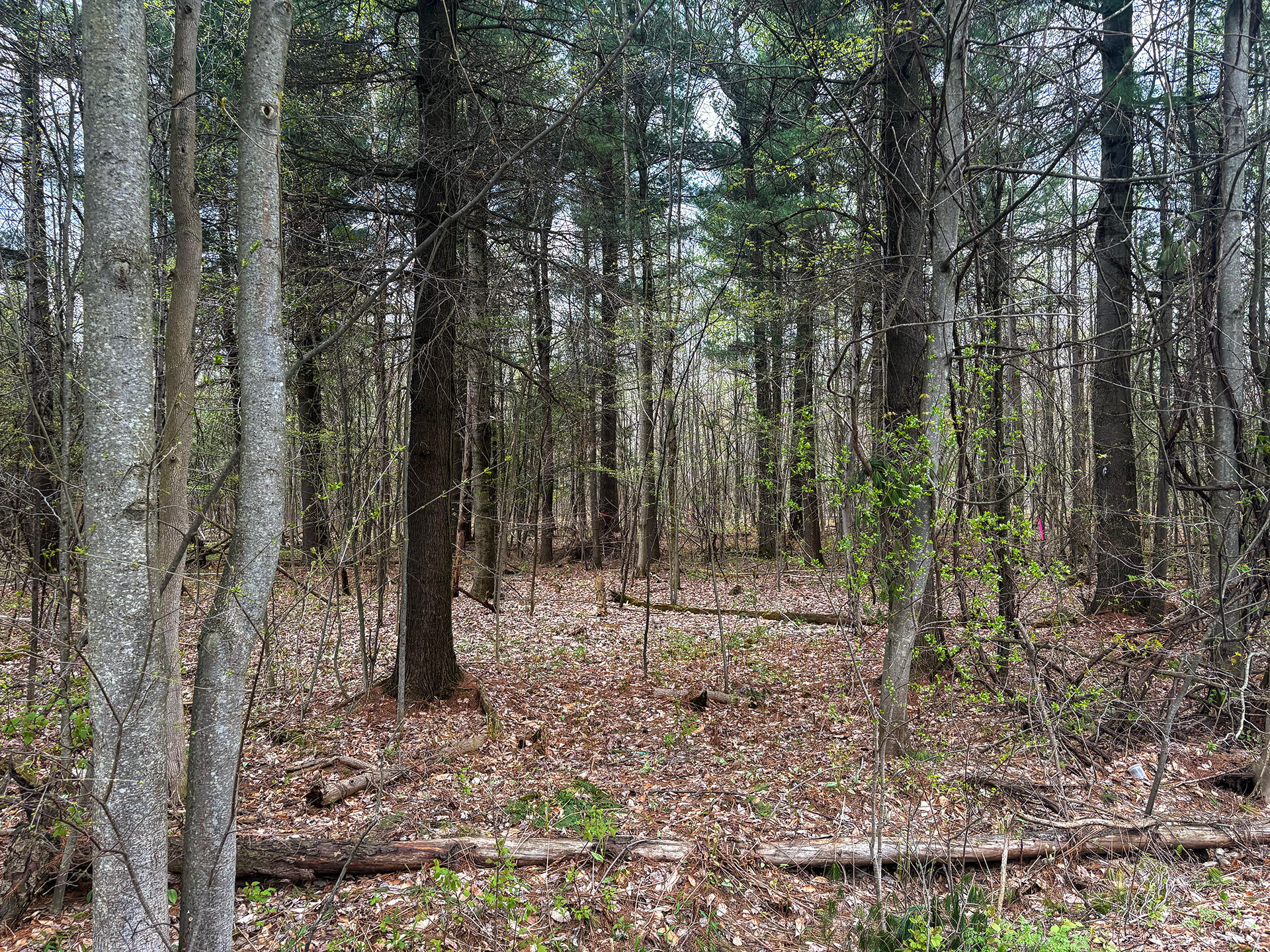 0 Callahan Road Burke NY 12917