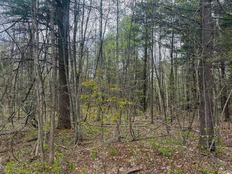 0 Callahan Road Burke NY 12917