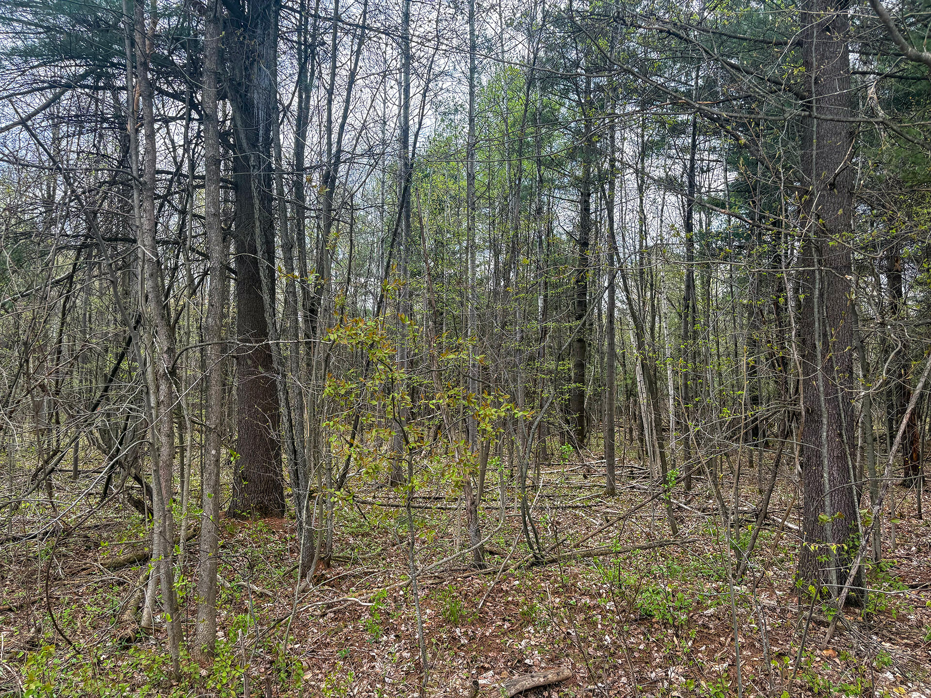 0 Callahan Road Burke NY 12917