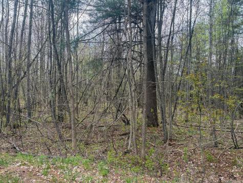 0 Callahan Road Burke NY 12917