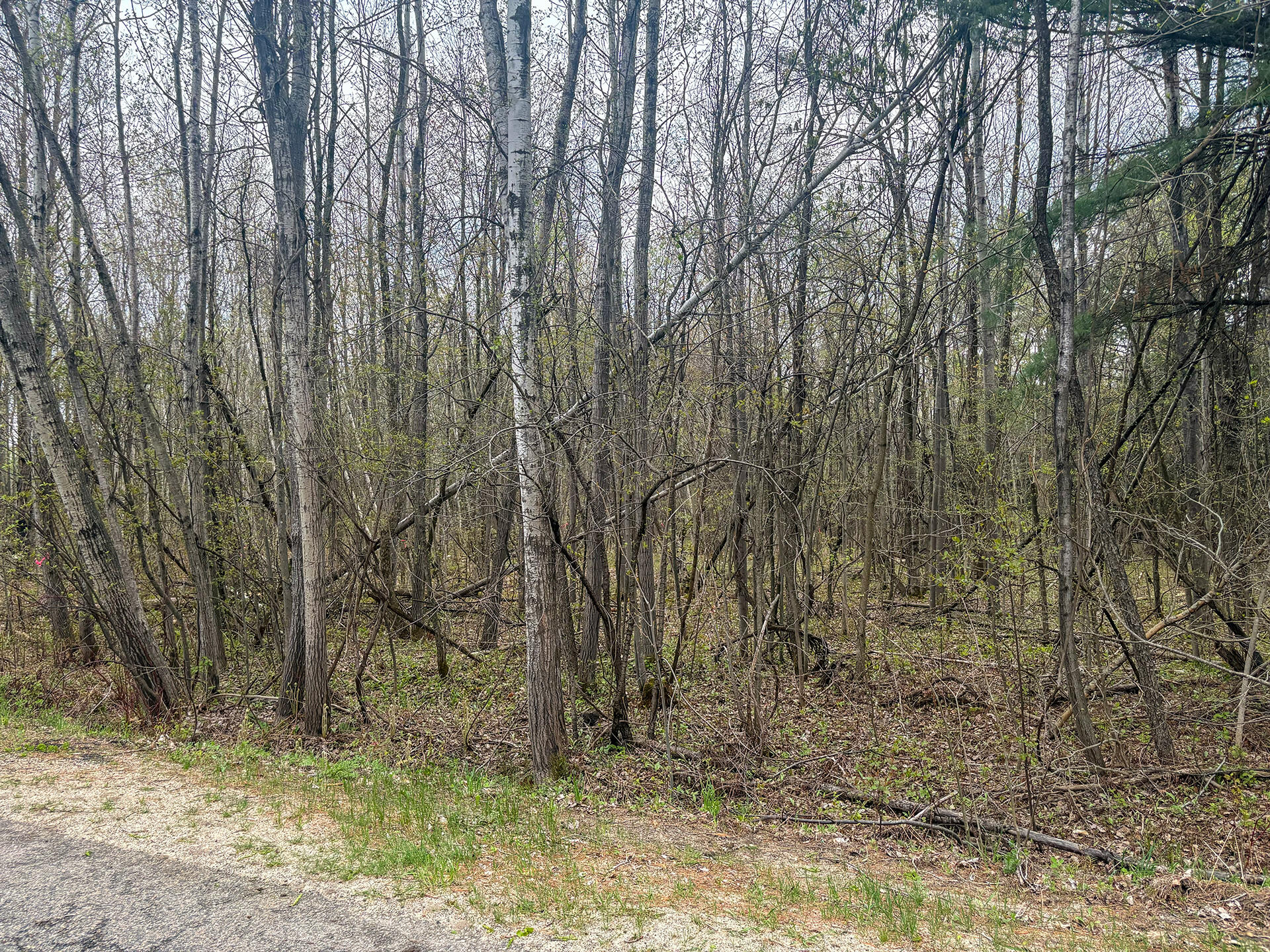 0 Callahan Road Burke NY 12917