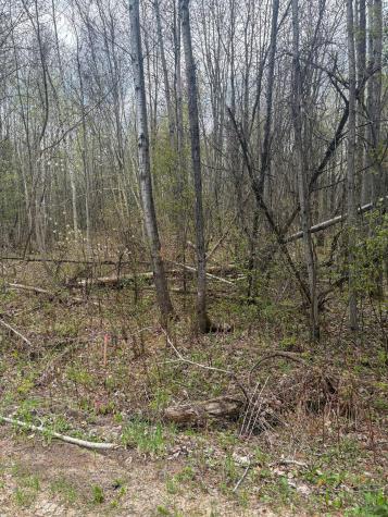 0 Callahan Road Burke NY 12917