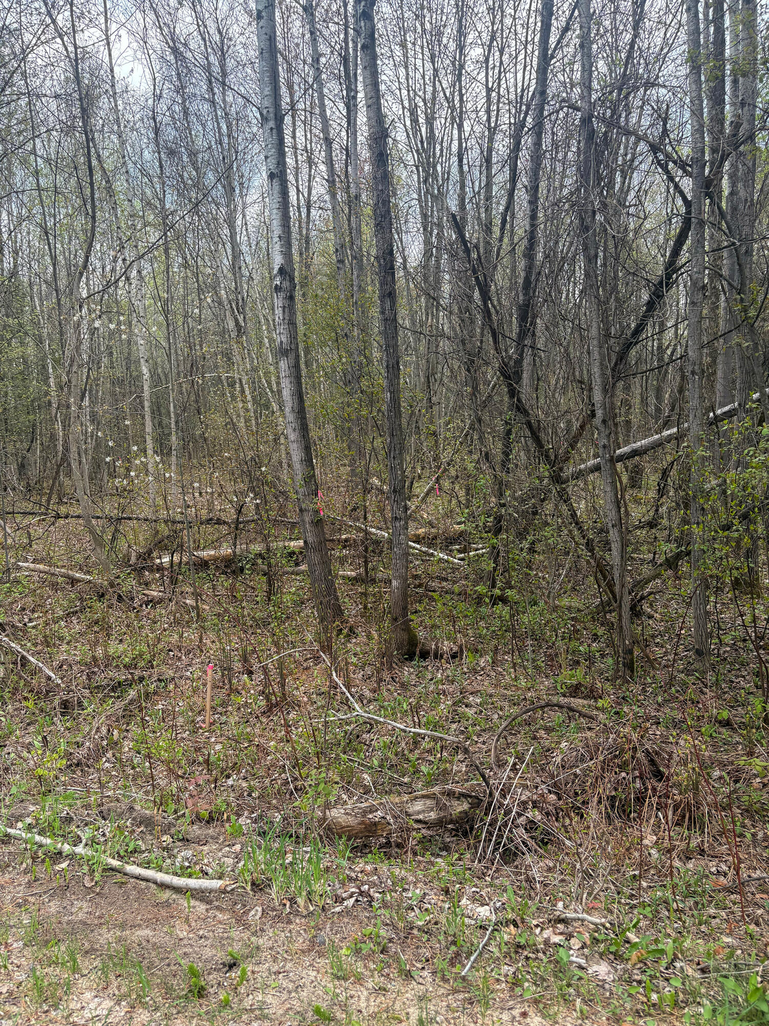 0 Callahan Road Burke NY 12917