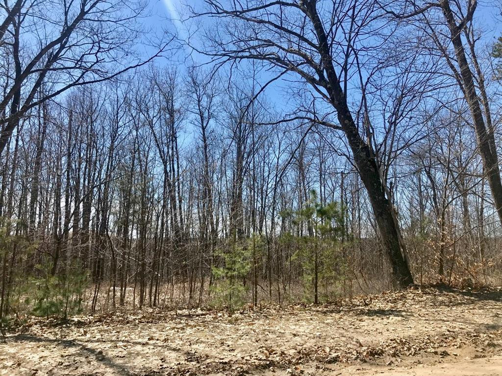 0 Wild Flower Lane Morrisonville NY 12962