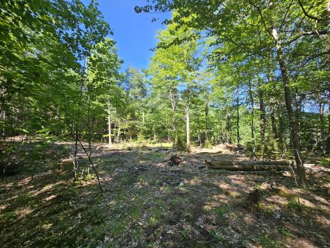 106 Maple Ridge Way Keene NY 12942