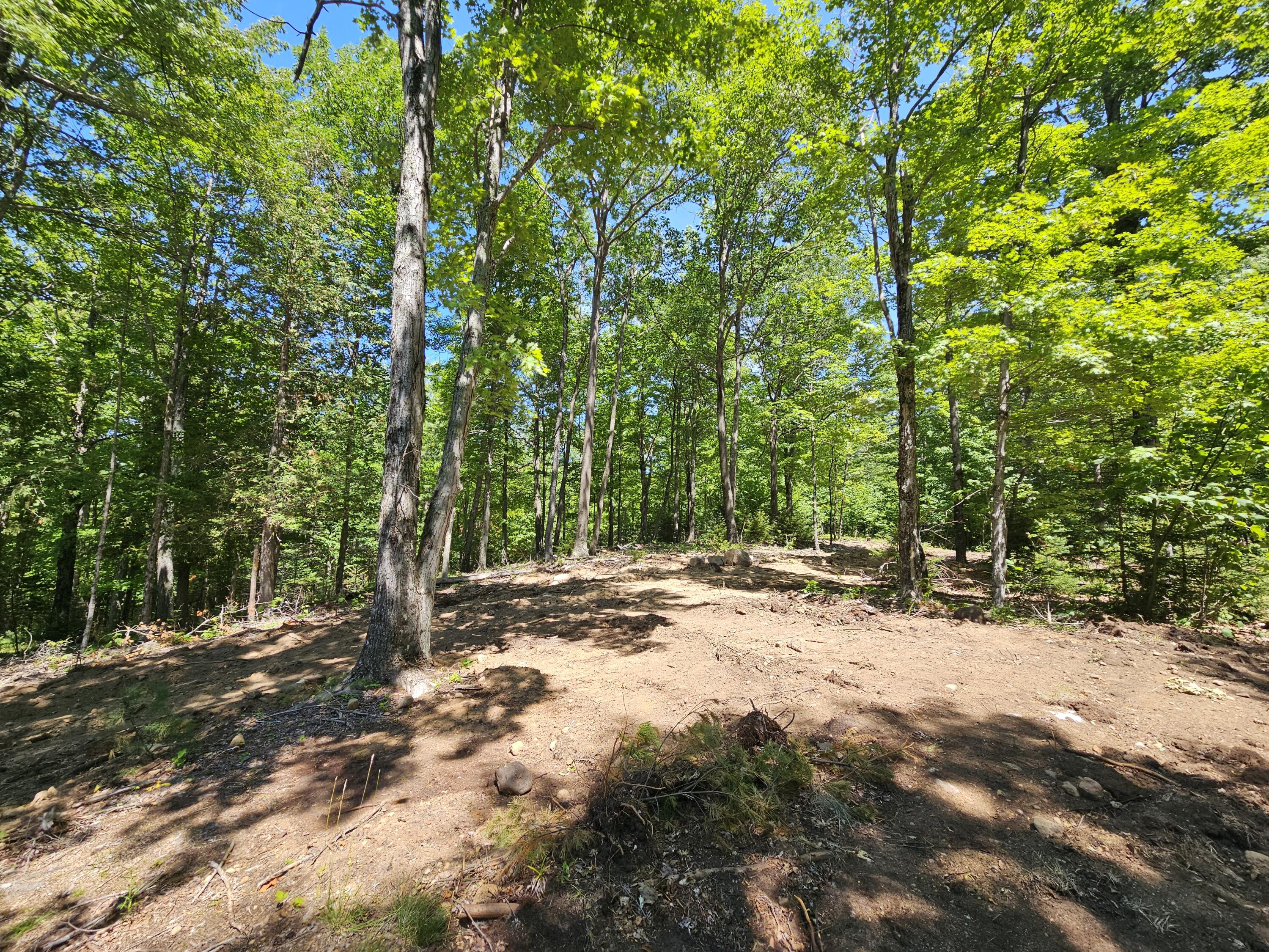 106 Maple Ridge Way Keene NY 12942
