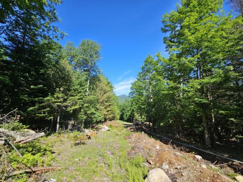 106 Maple Ridge Way Keene NY 12942