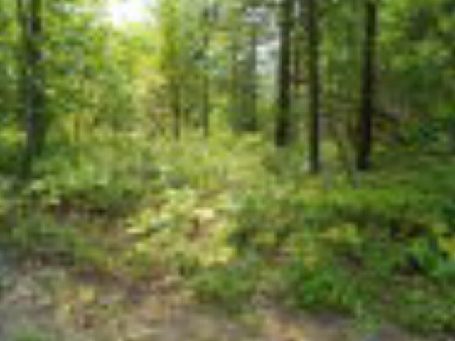 Lot 37 Plains Road Peru NY 12972