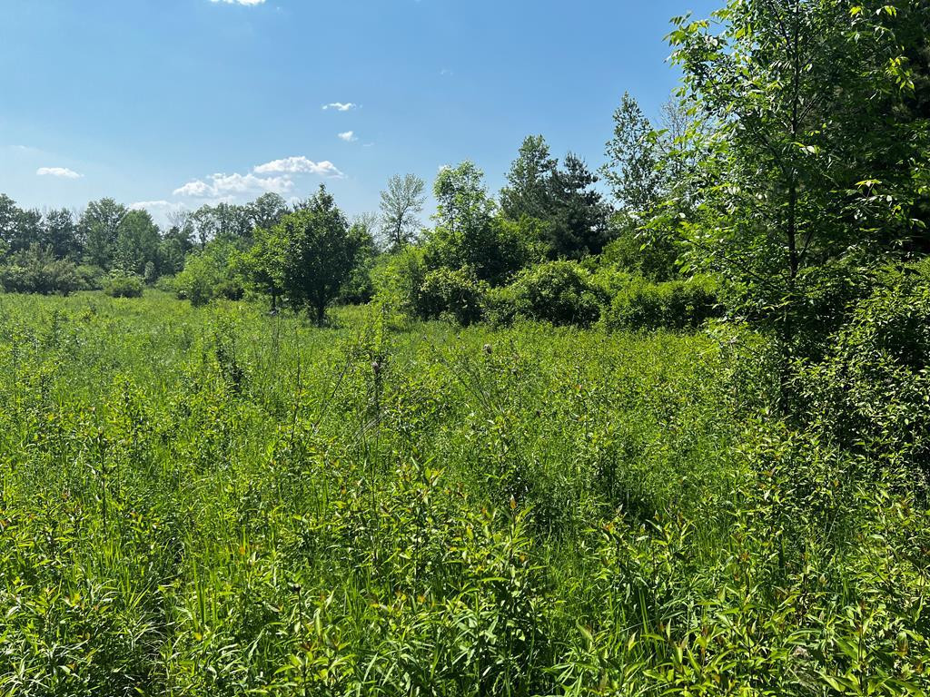 00 Leggett Road Champlain NY 12919