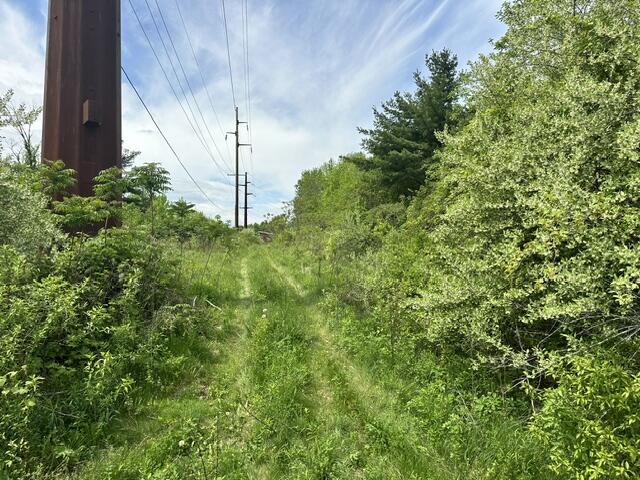 # Bear Swamp Road Peru NY 12972