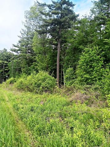 # Bear Swamp Road Peru NY 12972
