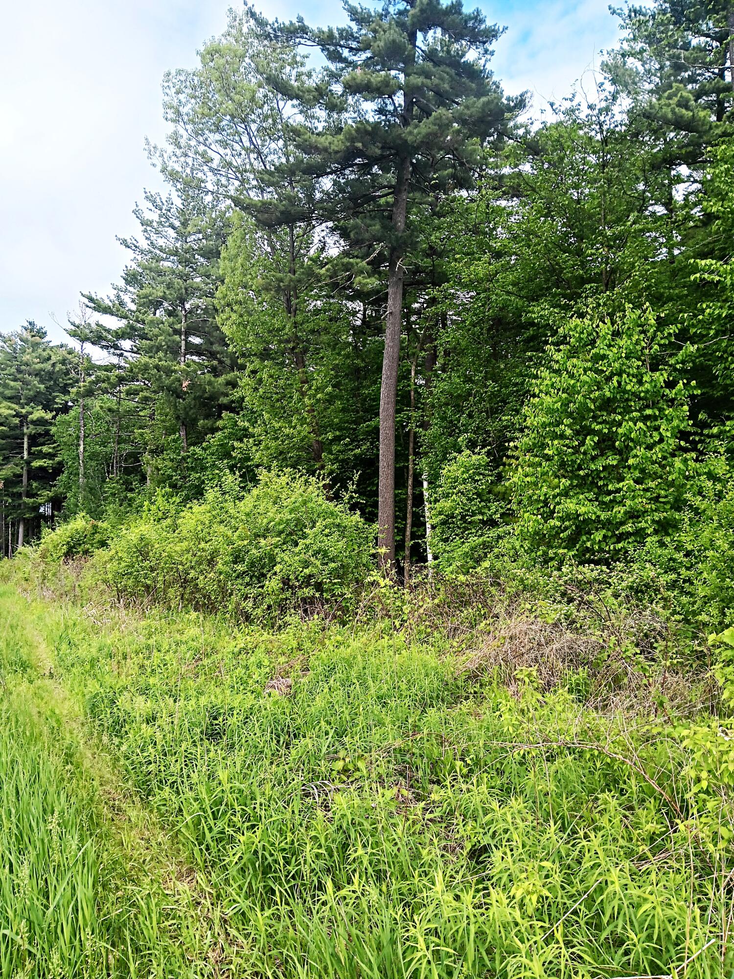 # Bear Swamp Road Peru NY 12972