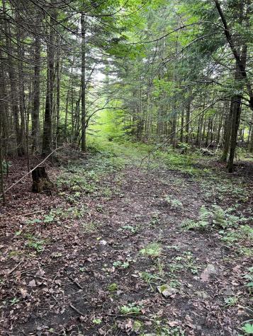 00 Hugh Herron Road Saranac NY 12981