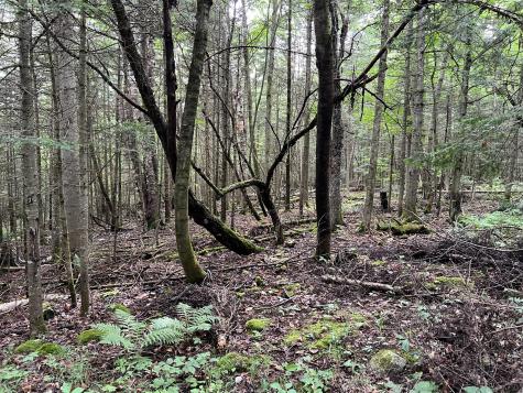 00 Hugh Herron Road Saranac NY 12981