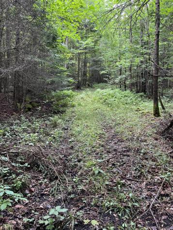 00 Hugh Herron Road Saranac NY 12981