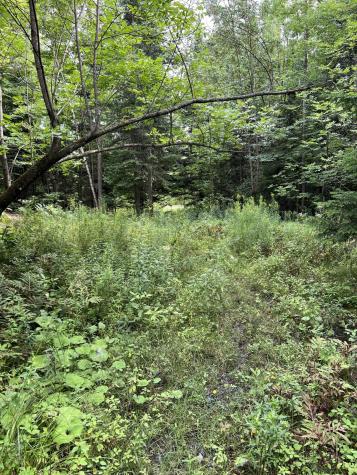 00 Hugh Herron Road Saranac NY 12981
