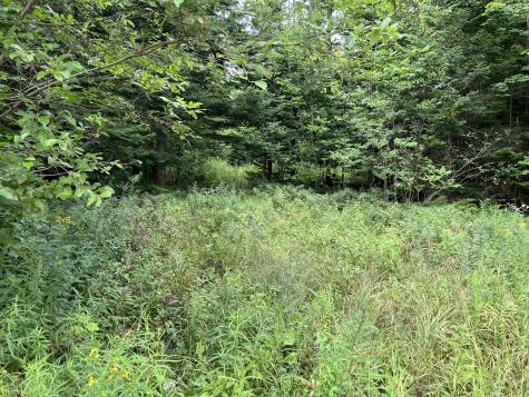 00 Hugh Herron Road Saranac NY 12981