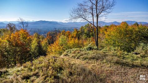 0 Panorama Drive Lot 15/16 Saranac Lake NY 12983