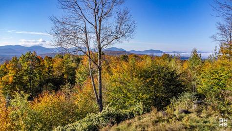 0 Panorama Drive Lot 15/16 Saranac Lake NY 12983