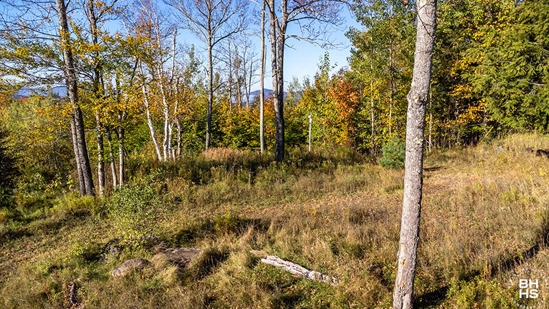 0 Panorama Drive Lot 15/16 Saranac Lake NY 12983