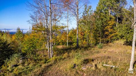 0 Panorama Drive Lot 15/16 Saranac Lake NY 12983