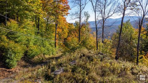 0 Panorama Drive Lot 15/16 Saranac Lake NY 12983