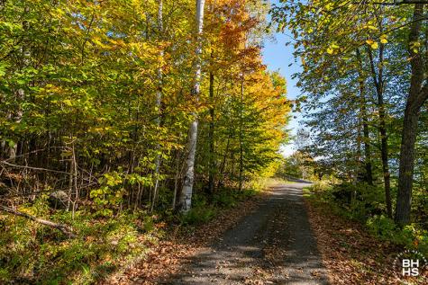 0 Panorama Drive Lot 15/16 Saranac Lake NY 12983