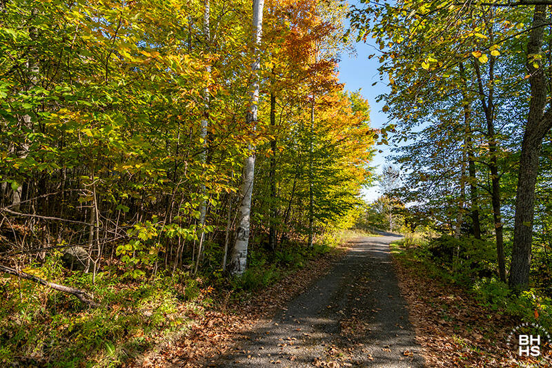 0 Panorama Drive Lot 15/16 Saranac Lake NY 12983