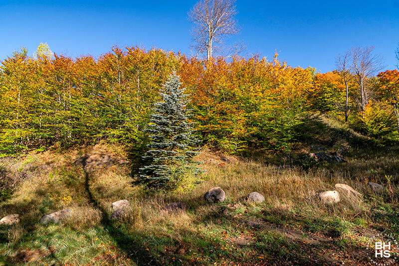 0 Panorama Drive Lot 15/16 Saranac Lake NY 12983