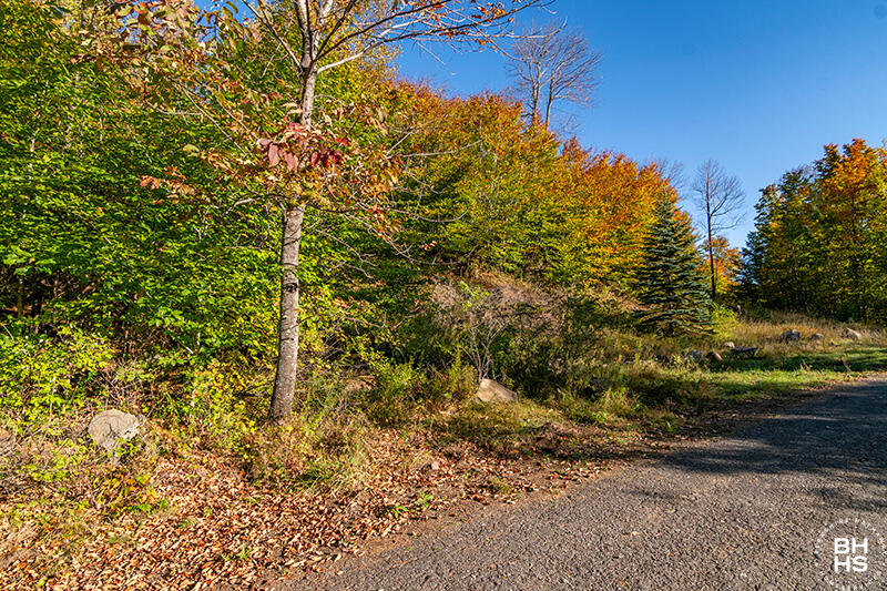 0 Panorama Drive Lot 15/16 Saranac Lake NY 12983