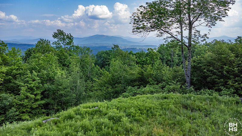 0 Panorama Drive Lot 15/16 Saranac Lake NY 12983