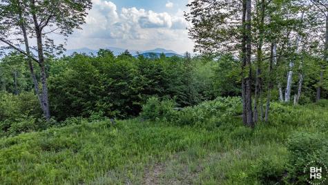 0 Panorama Drive Lot 15/16 Saranac Lake NY 12983