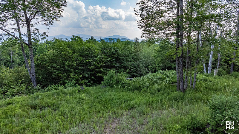 0 Panorama Drive Lot 15/16 Saranac Lake NY 12983